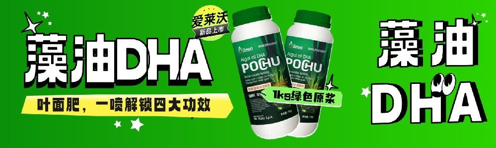 爱莱沃藻油DHA叶面肥**上市：1kg绿色原浆，一喷解锁四大功效